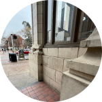 Clue 02 - Nadine and the Companionable Ficus