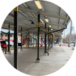 Clue 09 - Nadine and the Squirrel