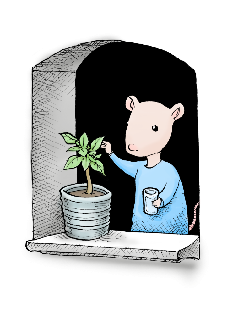 Nadine tending to her ficus on a windowsill